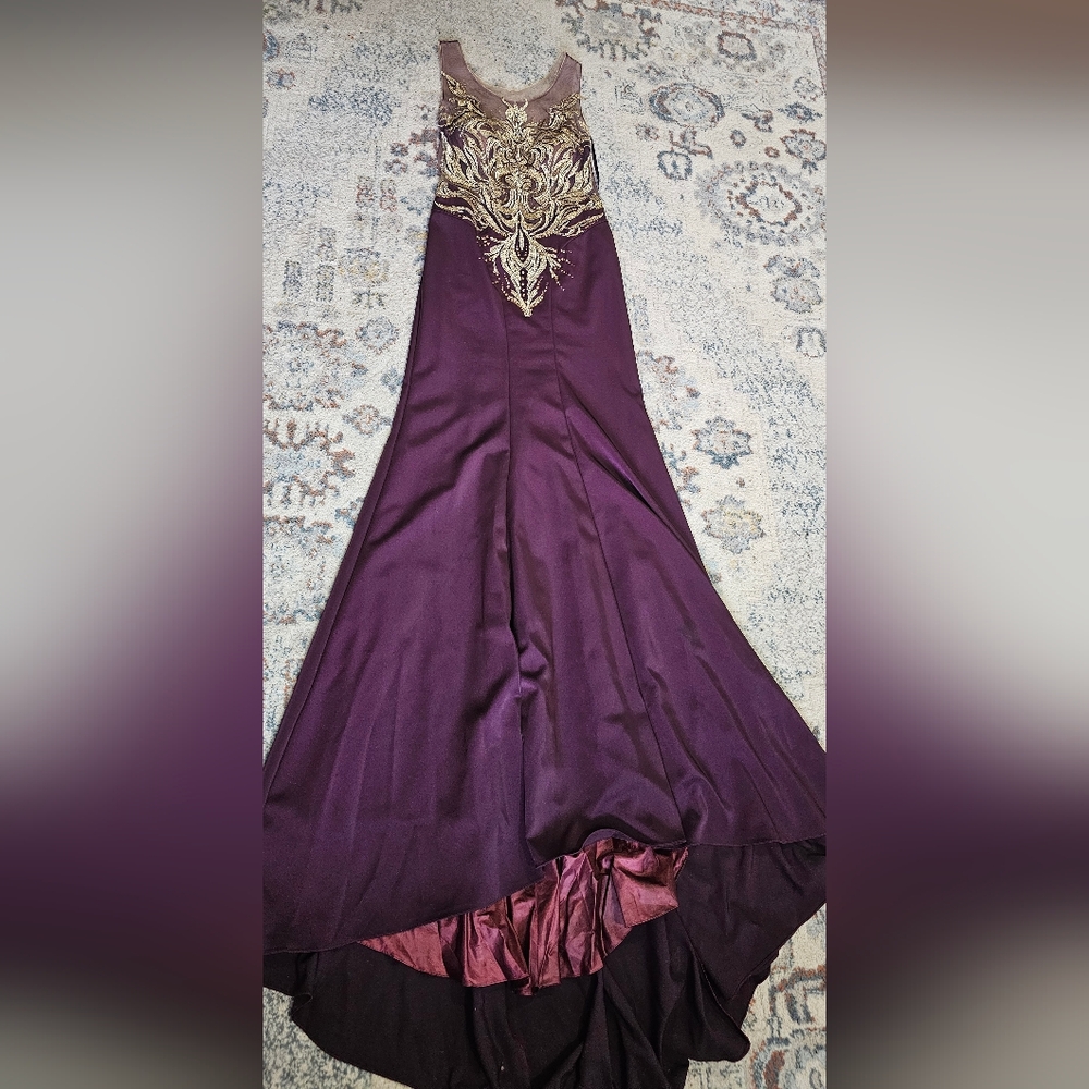 Echo Deep Purple Maxi Gown with Gold Accents